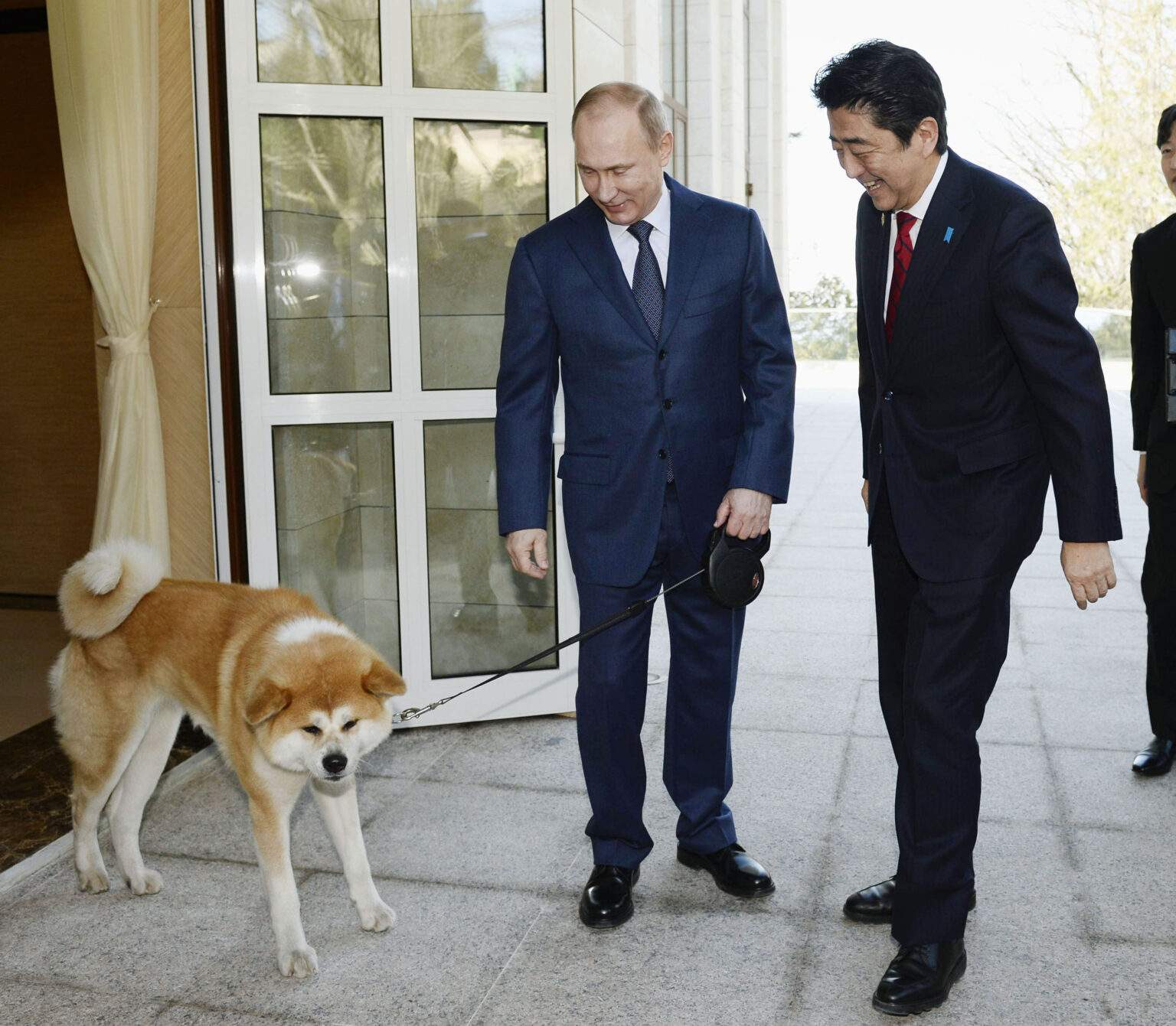 24zampe | Putin Torna In Visita A Tokyo: Riceverà In Regalo Un Altro ...