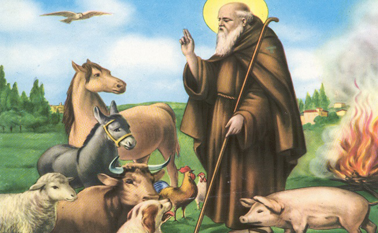 24zampe | A Roma la benedizione degli animali per Sant'Antonio Abate