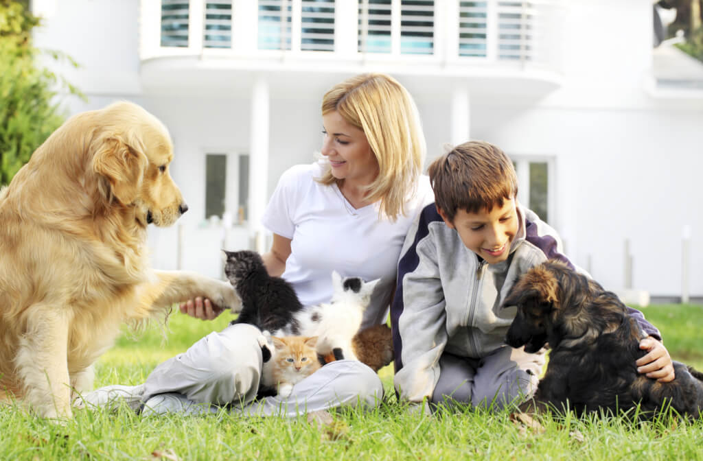 24zampe | Una famiglia su tre va in vacanza con cani, gatti e pets al  seguito