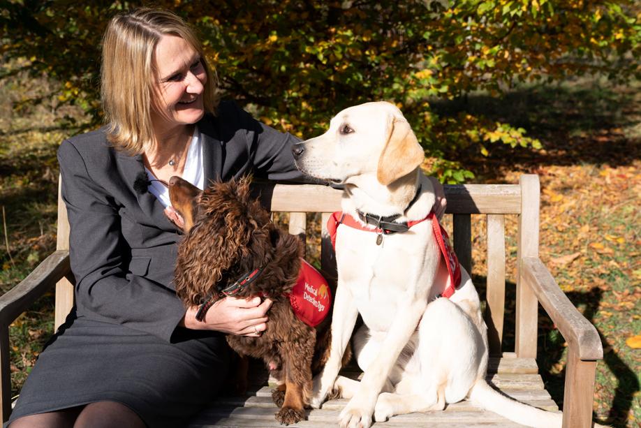 Activity Mat Pet Tappeto Da Fiuto Per Cani - 63,5 X 43 Cm Con Carota Sonora, Giochi Mentali Per Cani E Gatti Tappeto Intelligente Animali